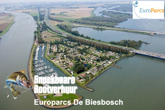 De Biesbosch en Moerdijkbruggen