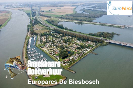 De Biesbosch und Moerdijkbruggen