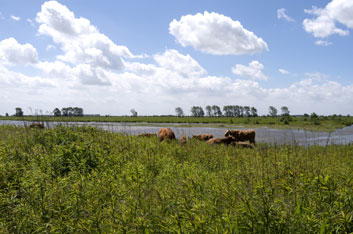 tiengemeten wildernis